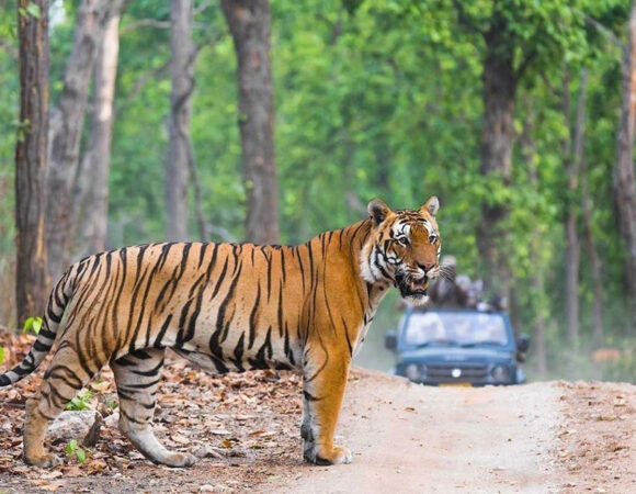 Golden Triangle Tour With Ranthambore